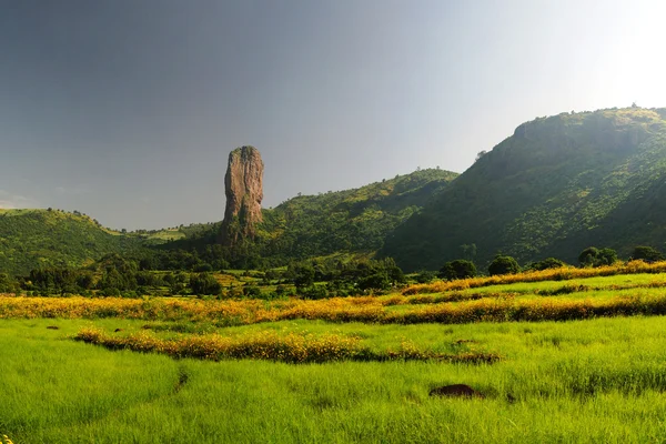 Paesaggio agricolo con gorst aka Finger of God e campi di teff in Etiopia — Foto Stock