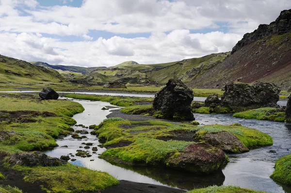 Eldgja canyon, south Iceland — Stock Fotó