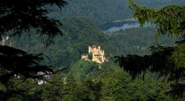 Blick auf das Schloss hohenschwangau — Stockfoto