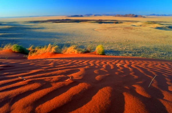 Pôr do sol no deserto da Namíbia, paisagem turva — Fotografia de Stock