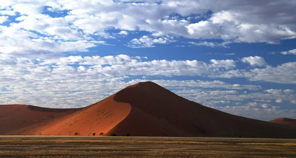 Sombras profundas nas dunas de Sossusvlei ao nascer do sol, deserto de Namib — Fotografia de Stock