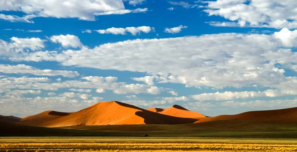 Sombras profundas nas dunas de Sossusvlei ao nascer do sol, deserto de Namíbia, Namíbia — Fotografia de Stock