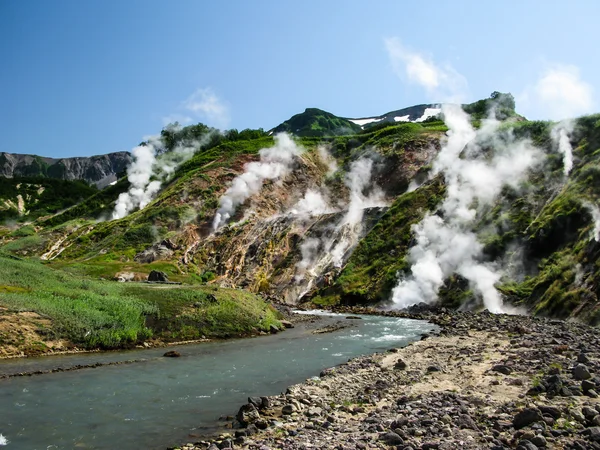 Kamçatka Yarımadası Rusya vadide Geysers Panoraması