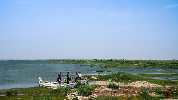 Pântanos da Mesopotâmia, habitat dos árabes pântanos aka MadansIraq — Fotografia de Stock