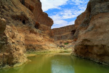Sesriem canyon of Tsauchab river, Sossusvley Namibia clipart