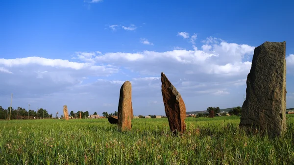 Ősi megalit stela mező Axumethiopia — Stock Fotó