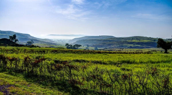 Paysage agricole avec champs de teff en Ethiopie — Photo