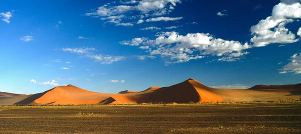 Sombras profundas nas dunas de Sossusvlei ao nascer do sol, deserto da Namíbia Namíbia — Fotografia de Stock