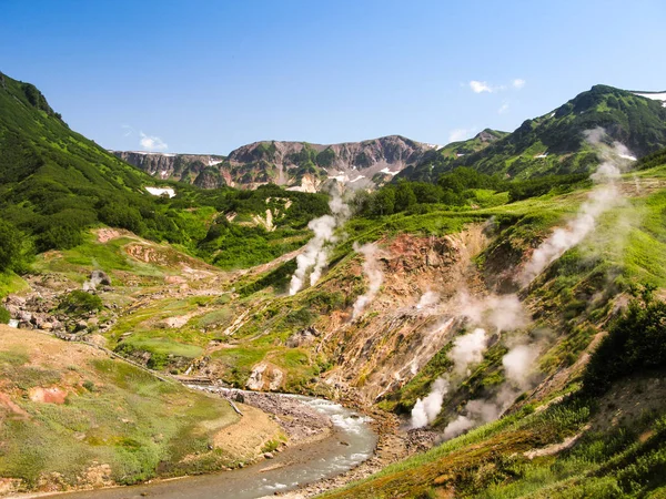 Kamçatka Yarımadası Rusya vadide Geysers Panoraması