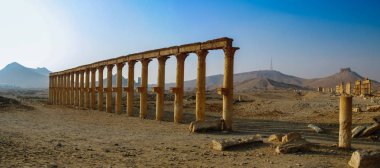 Panorama of Palmyra columns and ancient city, Syria clipart
