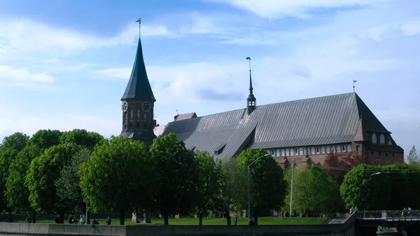 Vista a la Catedral de Kaliningrado, Rusia —  Fotos de Stock