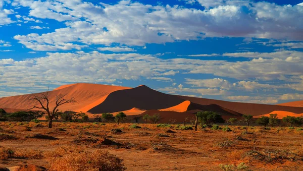 Ombres profondes sur les dunes de Sossusvlei au lever du soleil Namib désert Namibie — Photo