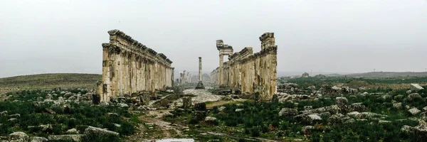Grote Colonnade Apamea in mist, gedeeltelijk verwoest door Isis Syrië — Stockfoto