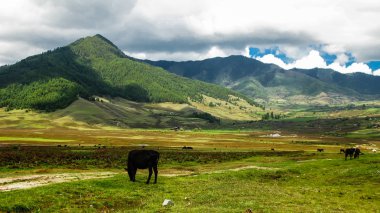 Manzara dağ Phobjikha vadinin Himalayalar, Bhutan