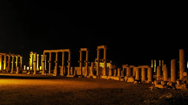 팔마이라 기둥의 밤 파노라마, 테트라필론, 이시스에 의해 파괴, 시리아 — 스톡 사진