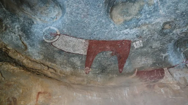 洞窟の絵画とクローズ アップ ハルゲイサ ソマリア近くペトログリフ Laas Geel — ストック写真