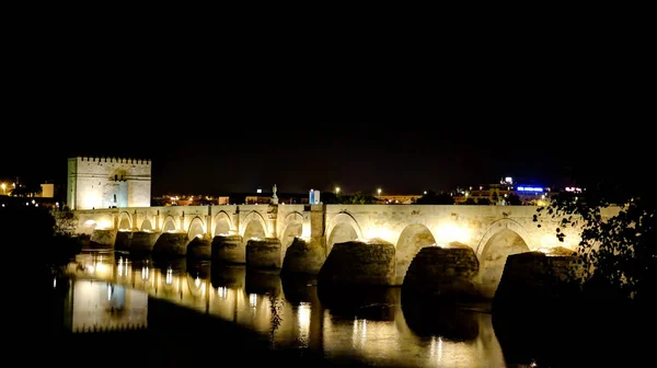Вид на Римский мост в Кордове ночью, Андалусия Испания — стоковое фото