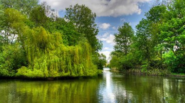 St Jamess Park Yaz görünümüne. Londra, İngiltere