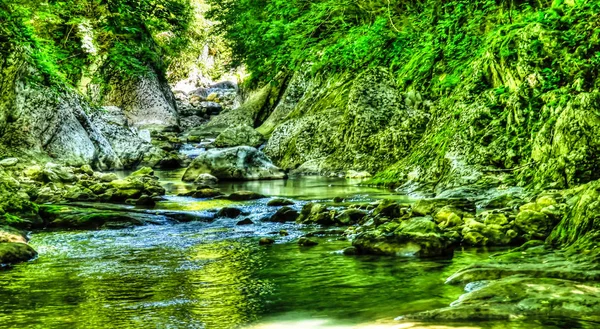 Panorama do desfiladeiro verde do rio Machara Abcásia — Fotografia de Stock