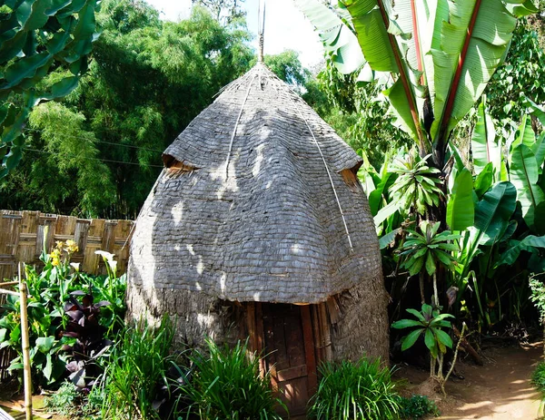 Традиционный дом Дорзе в Ченче, Эфиопия — стоковое фото