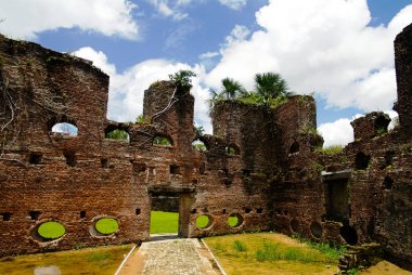 Ruins of Zeeland fort on the island in Essequibo delta, Guyana clipart
