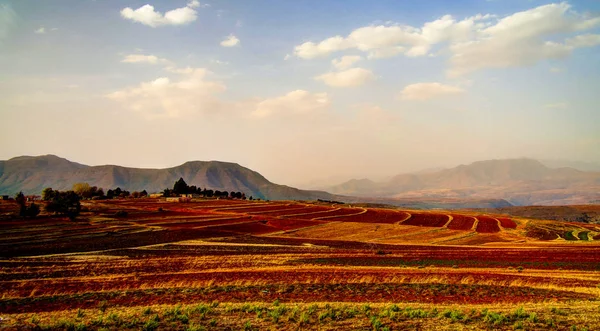 Pejzaż pole rolnictwo wokół Malealea, Lesotho — Zdjęcie stockowe