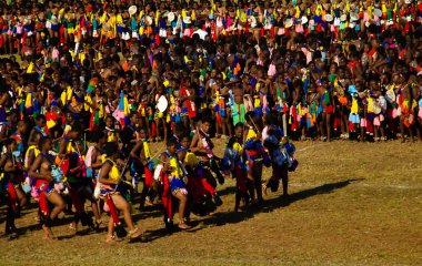 Kadınlar Umhlanga aka Reed dans onların Kral 01-09-2013 Lobamba, Svaziland için geleneksel kostümleri