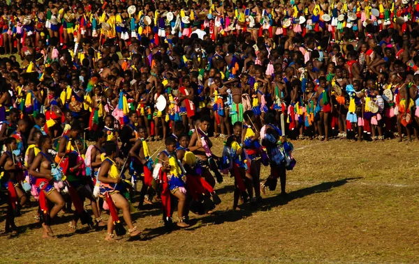 Kadınlar Umhlanga aka Reed dans onların Kral 01-09-2013 Lobamba, Svaziland için geleneksel kostümleri