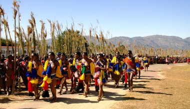 Geleneksel kostümleri Umhlanga aka Reed dans 01-09-2013 Lobamba, Svaziland yürüyen kadınlar