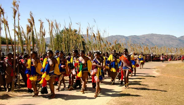 Mujeres con trajes tradicionales marchando en Umhlanga aka Reed Dance 01-09-2013 Lobamba, Swazilandia — Foto de Stock
