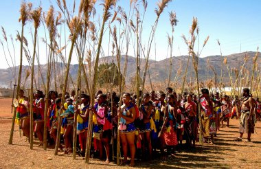 Geleneksel kostümleri Umhlanga aka Reed dans 01-09-2013 Lobamba, Svaziland yürüyen kadınlar