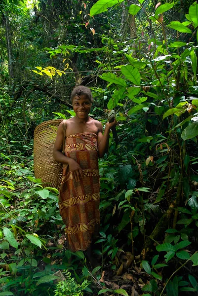 Portret van Baka pigmy vrouw in Dja Reserve, Kameroen — Stockfoto