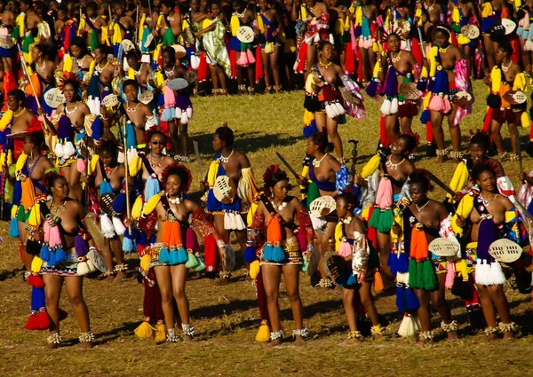 Kadınlar Umhlanga aka Reed dans onların Kral Lobamba, Svaziland için geleneksel kostümleri