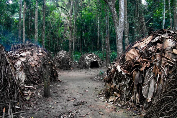 Pigme Baka Köyü, Somalomo, Dja milli park için Kamerun göster
