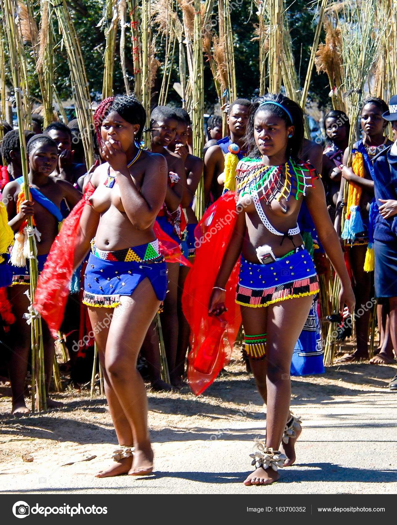 Swaziland Women Reed Dance Telegraph