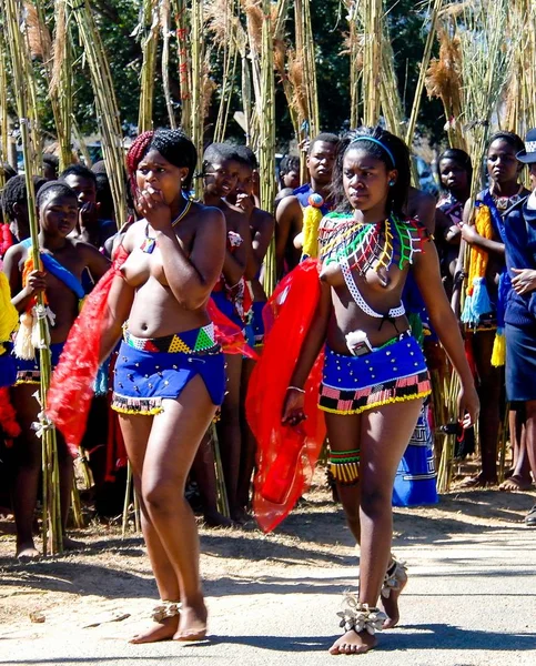 Женщины в традиционных костюмах маршируют на Umhlanga aka Reed Dance 01-09-2013 Лобамба, Свазиленд — стоковое фото