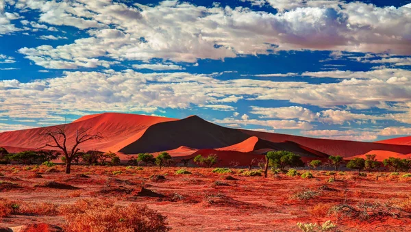 Dunes de sable Parc national Namib-Naukluft, Namibie — Photo