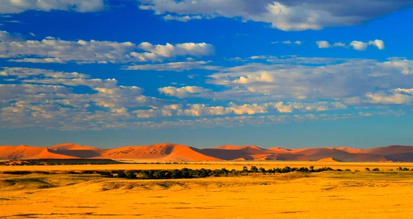 Dunes de sable Parc national Namib-Naukluft, Namibie — Photo