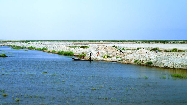 Mesopotamian Marshes, habitat of Marsh Arabs aka Madans Basra Iraq