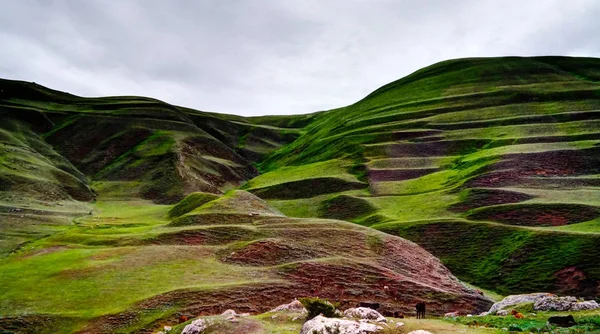 Łąka w Schalbus-Dag góry, Dagestan, Caucasus Rosji — Zdjęcie stockowe