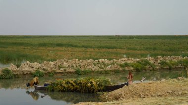 Mesopotamian Marshes, habitat of Marsh Arabs aka Madans Basra Iraq clipart