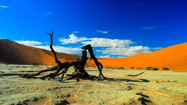 Deadvlei no parque nacional Namib-Naukluft, Sossusvlei Namíbia — Fotografia de Stock