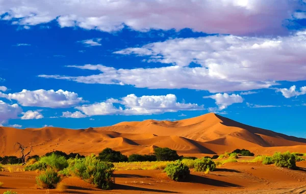 Písečné duny Namib-Naukluft národní park, Namibie — Stock fotografie