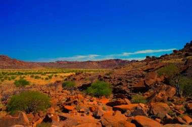 Twyfelfontein arkeolojik Namibya
