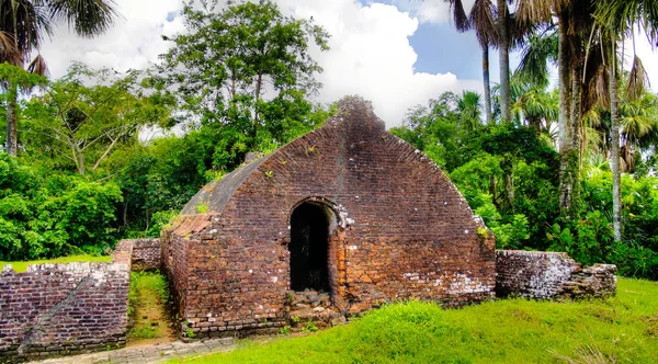 Rovine del forte della Zelanda sull'isola nel delta di Essequibo, Guyana — Foto Stock