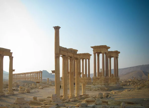 Panorama de colunas de Palmyra, Tetrapylon, cidade antiga, destruída agora, Síria — Fotografia de Stock