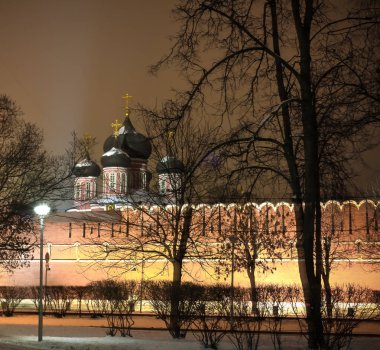 Donskoy Manastırı, Moskova, Rusya Federasyonu için gece kış görüntüleyin