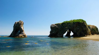 Cape Velikan dev, doğa heykel, Sakhalin Rusya taş tilki