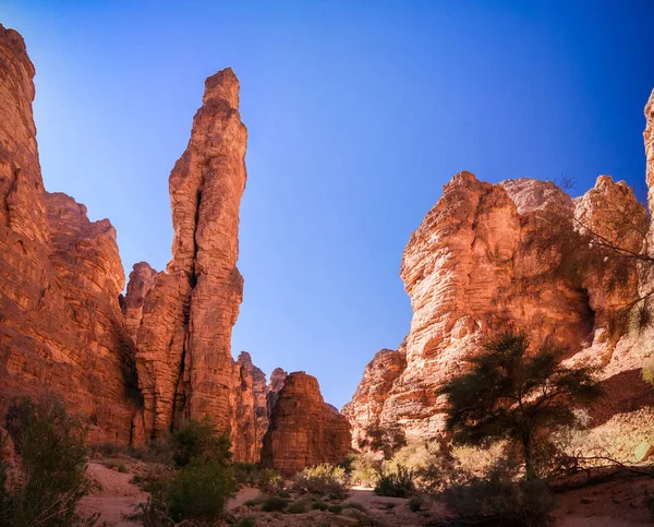 Formación de rocas Bizzare en Essendilene, Parque Nacional Tassili nAjjer, Argelia —  Fotos de Stock