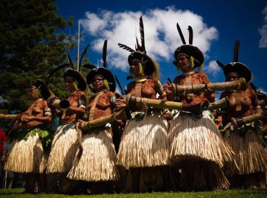 Sili Muli tribe participantes at Mount Hagen festival at Papua New Guinea clipart